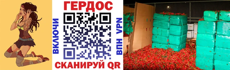Купить где Сунжа ГЕРОИН гречка