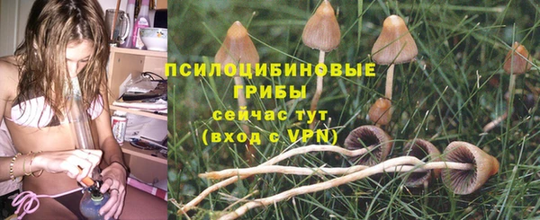 шишки Арсеньев