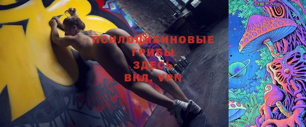 шишки Володарск