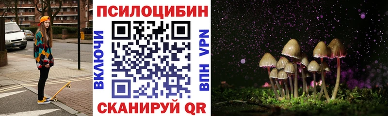 Купить где  Сунжа  Псилоцибиновые грибы ЛСД 