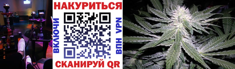 Марихуана планчик  Купить  Сунжа 